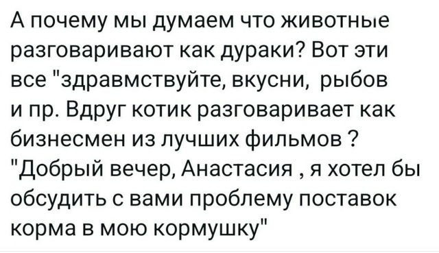 А почему мы думаем что животные разговаривают как дураки? Вот эти все 