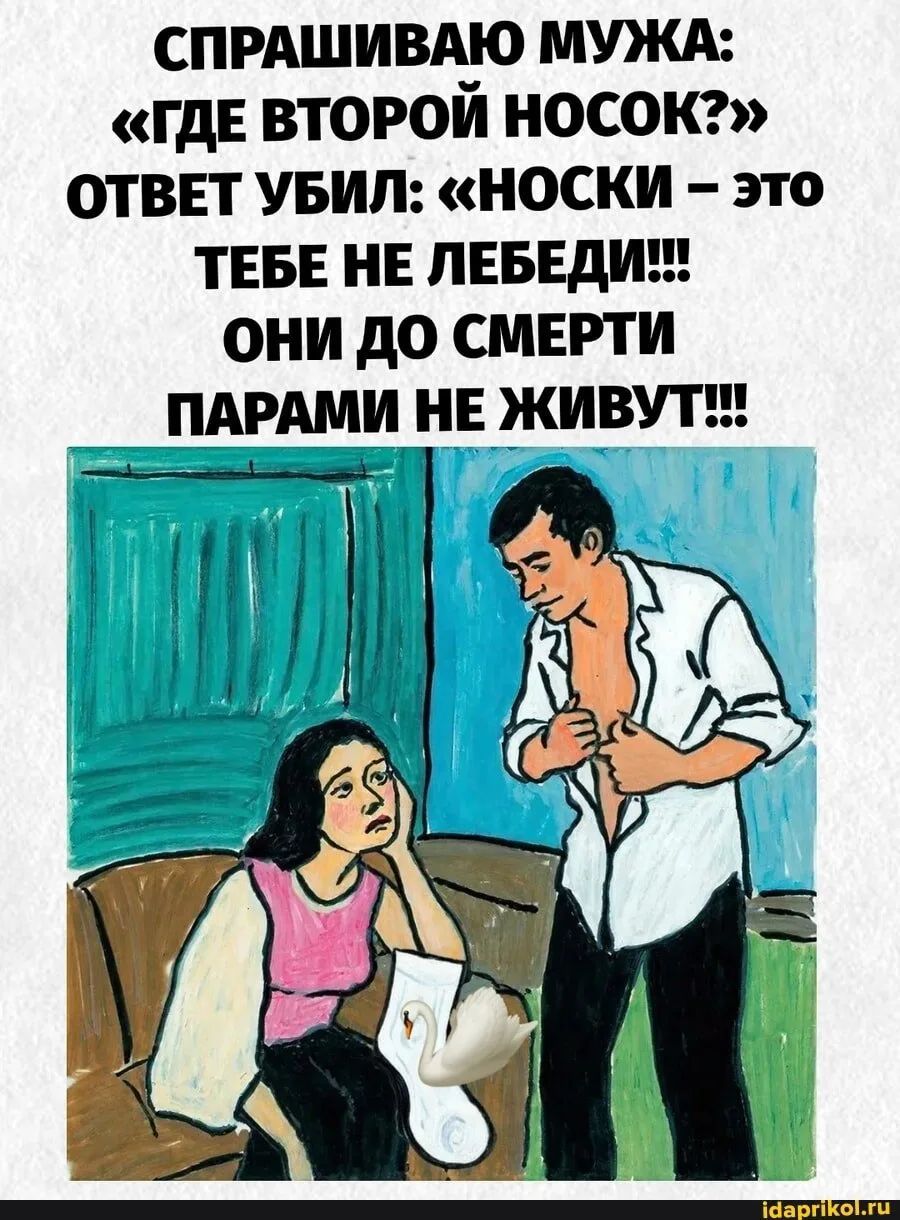 СПРАШИВАЮ МУЖА: «ГДЕ ВТОРОЙ НОСОК?» ОТВЕТ УБИЛ: «НОСКИ — ЭТО ТЕБЕ НЕ ЛЕБЕДИ!!! ОНИ ДО СМЕРТИ ПАРАМИ НЕ ЖИВУТ!!!» idaprikol.ru