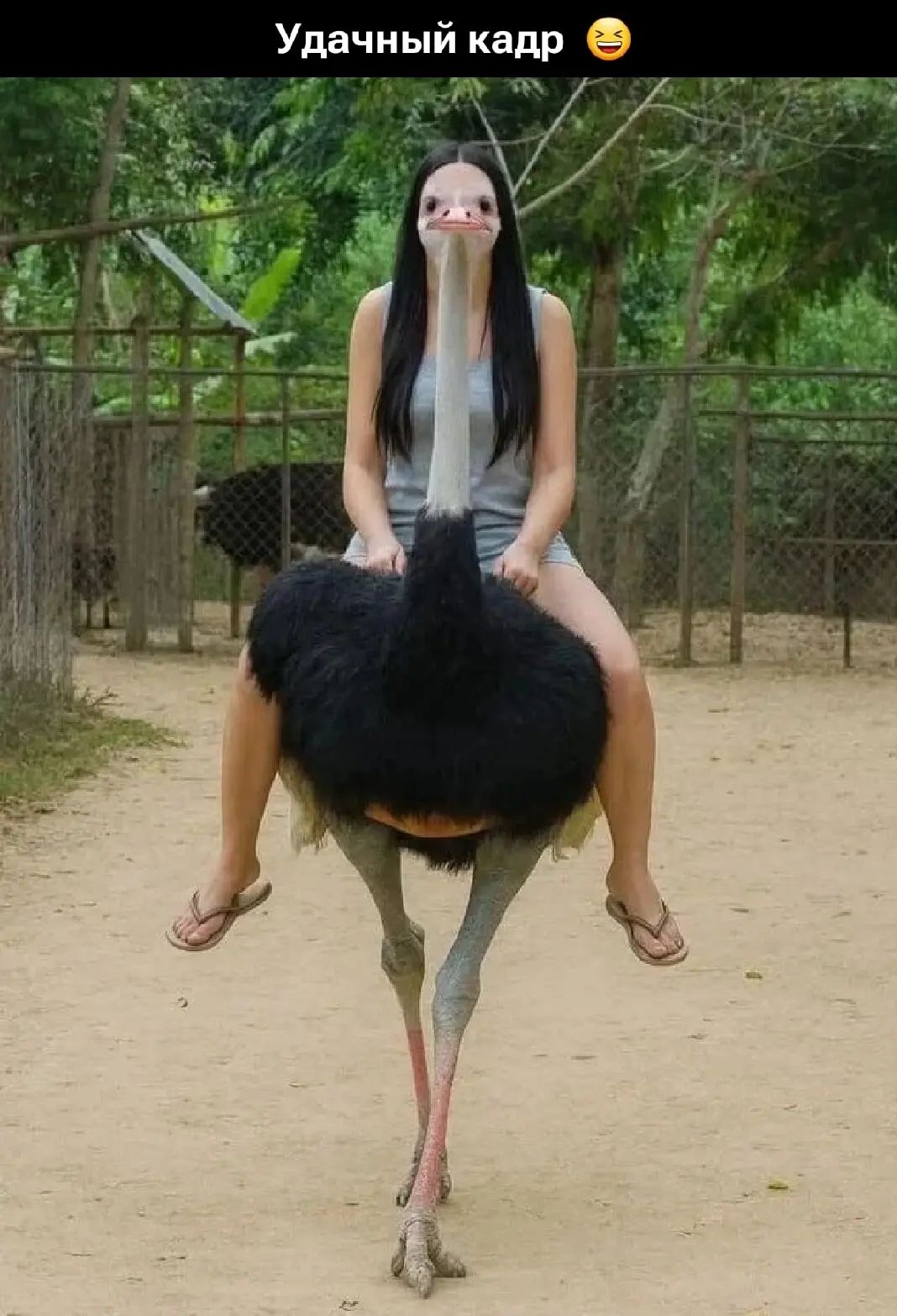 Удачный кадр 😂