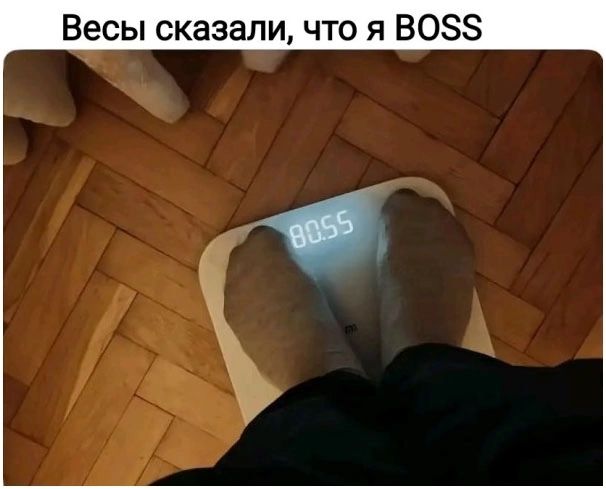 Весы сказали, что я BOSS. 80.55