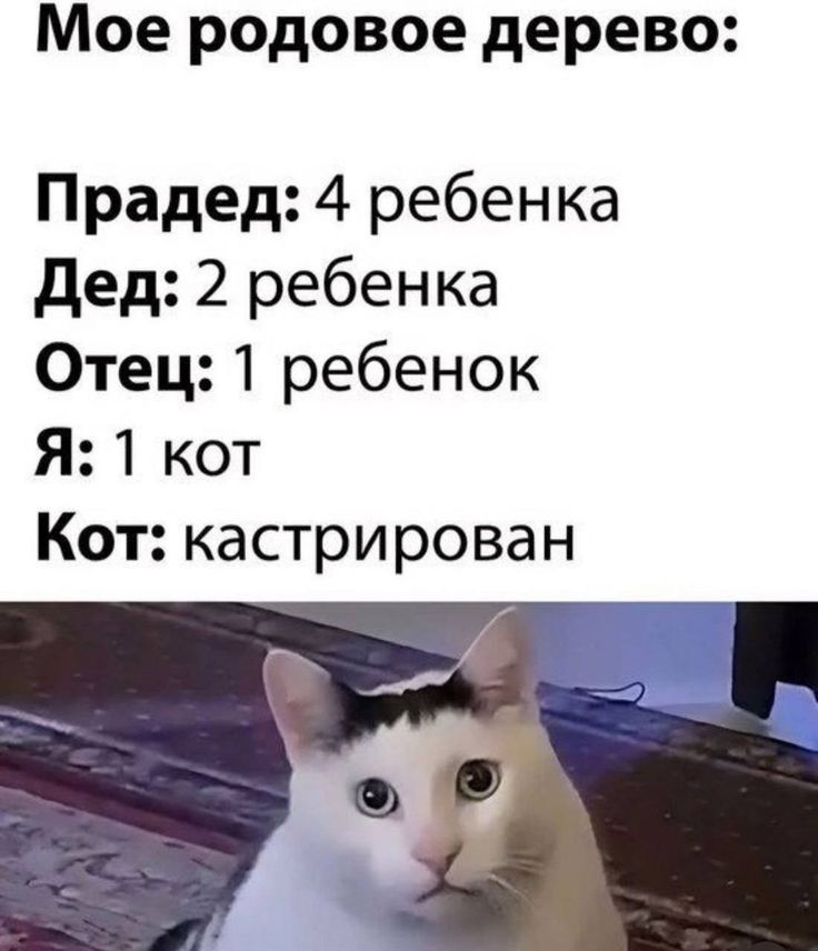 Мое родовое дерево: Прадед: 4 ребенка Дед: 2 ребенка Отец: 1 ребенок Я: 1 кот Кот: кастрирован