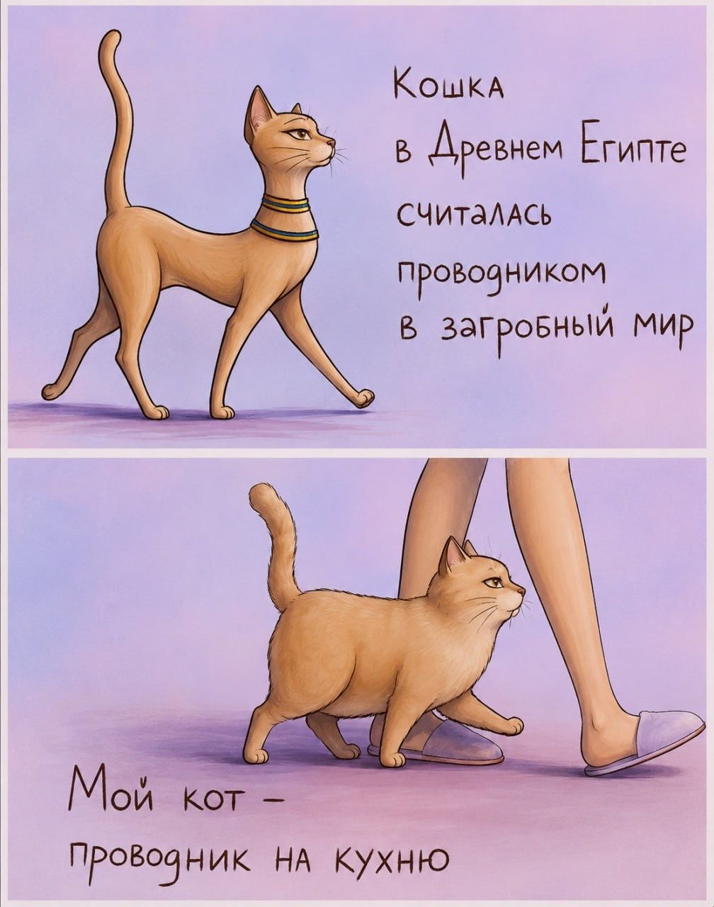 Кошка в Древнем Египте считалась проводником в загробный мир. Мой кот - проводник на кухню.