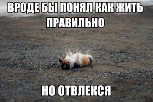 ВРОДЕ БЫ ПОНЯЛ КАК ЖИТЬ ПРАВИЛЬНО НО ОТВЛЕКСЯ