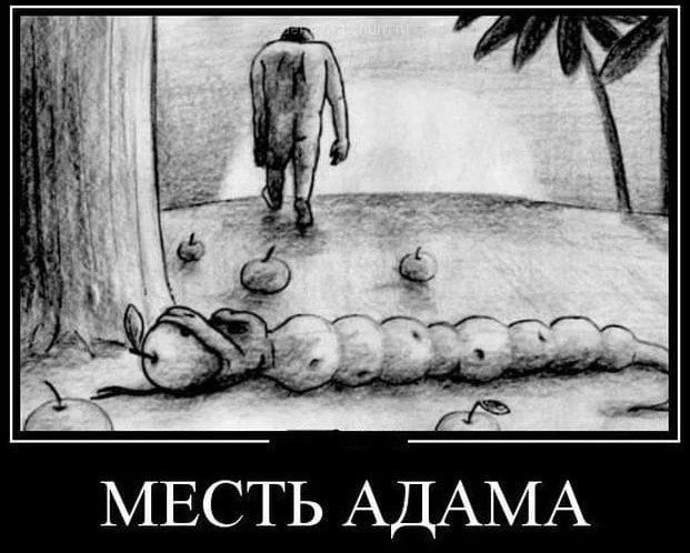 МЕСТЬ АДАМА. Человек уходит от дерева, а на земле лежит гусеница, сделанная из яблок.