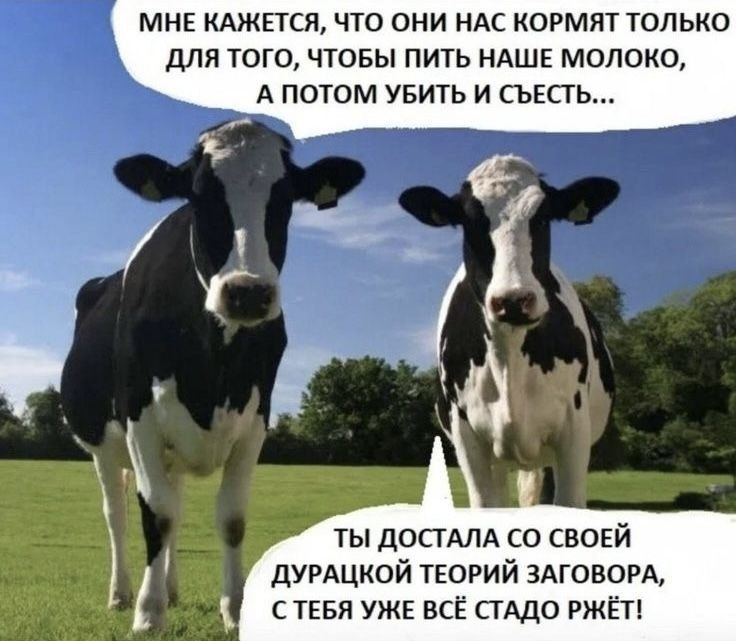 МНЕ КАЖЕТСЯ, ЧТО ОНИ НАС КОРМЯТ ТОЛЬКО ДЛЯ ТОГО, ЧТОБЫ ПИТЬ НАШЕ МОЛОКО, А ПОТОМ УБИТЬ И СЪЕСТЬ... ТЫ ДОСТАЛА СО СВОЕЙ ДУРАЦКОЙ ТЕОРИЙ ЗАГОВОРА, С ТЕБЯ УЖЕ ВСЁ СТАДО РЖЁТ!