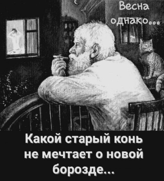 Весна однако... Какой старый конь не мечтает о новой борозде...
