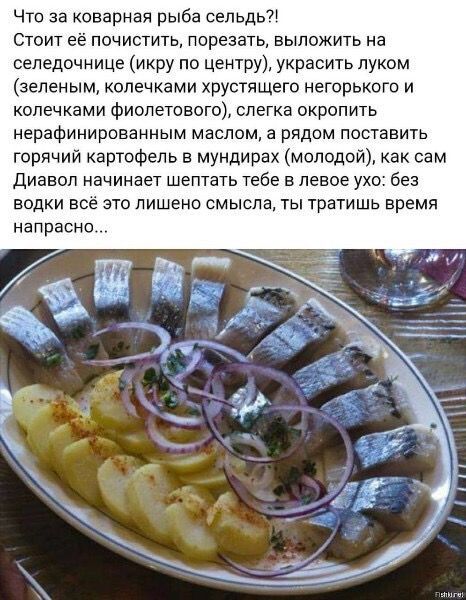 Что за коварная рыба сельдь?! Стоит её почистить, порезать, выложить на селедочнице (икру по центру), украсить луком (зеленым, колечками хрустящего негорького и колечками фиолетового), слегка окропить нерафинированным маслом, а рядом поставить горячий картофель в мундирах (молодой), как сам Диавол начинает шептать тебе в левое ухо: без водки всё