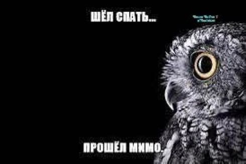 ШЁЛ СПАТЬ... ПРОШЁЛ МИМО. Через час уже 7 утра