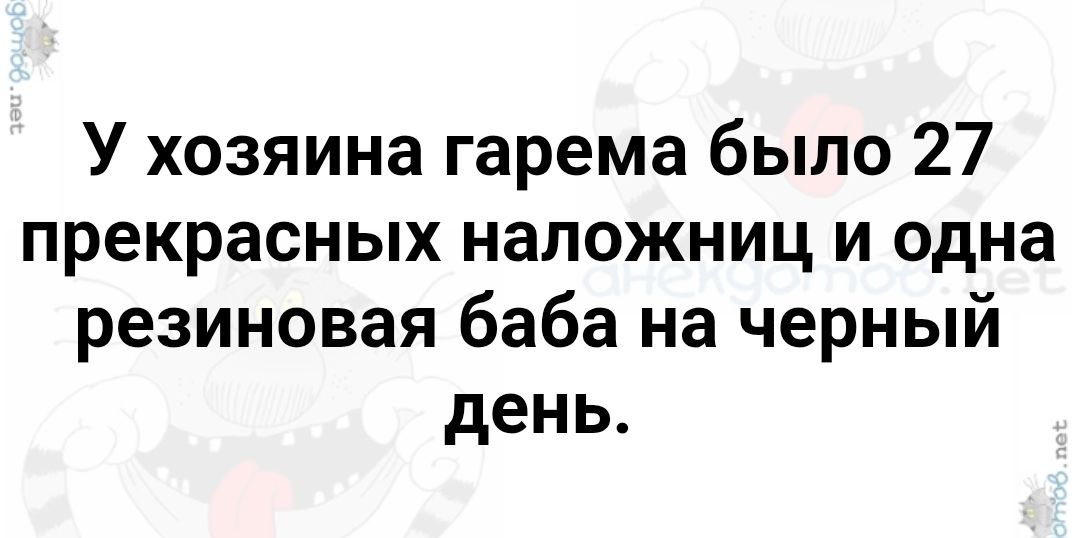У хозяина гарема было 27 прекрасных наложниц и одна резиновая баба на черный день.