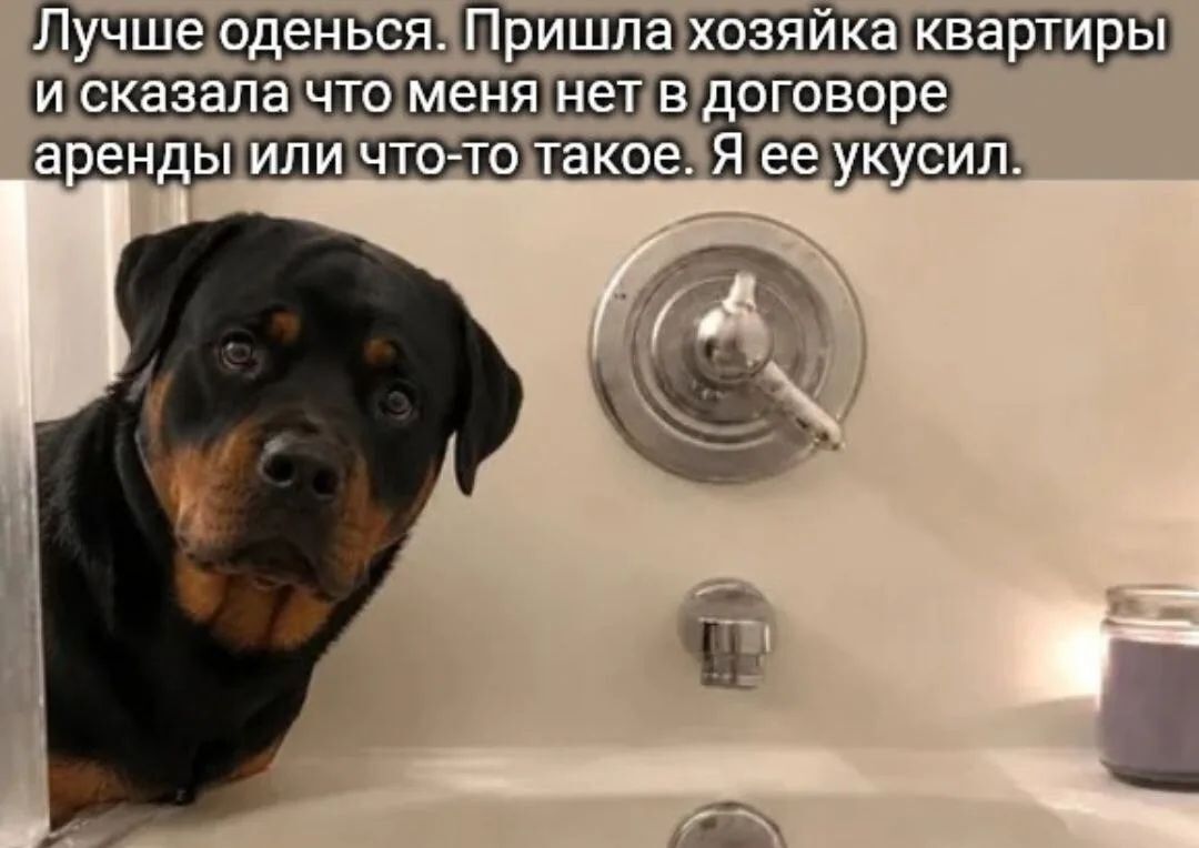 Лучше оденься. Пришла хозяйка квартиры и сказала что меня нет в договоре аренды или что-то такое. Я ее укусил.