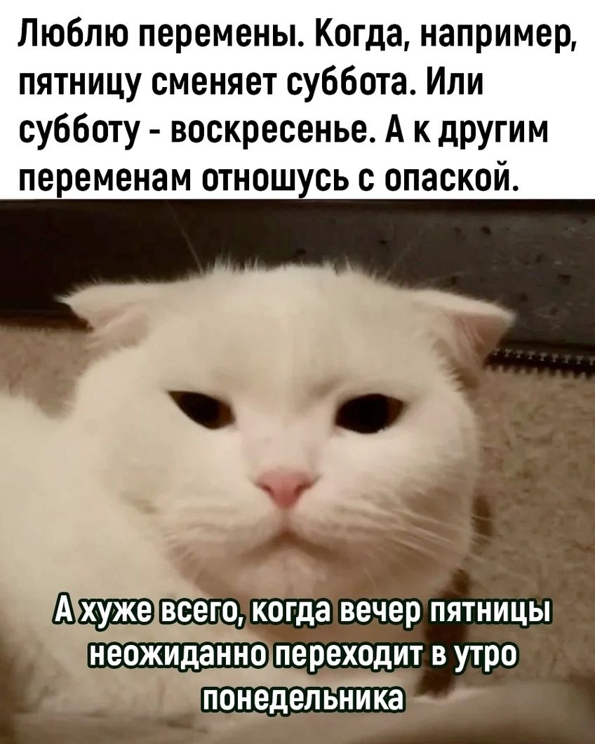 Люблю перемены. Когда, например, пятницу сменяет суббота. Или субботу - воскресенье. А к другим переменам отношусь с опаской. А хуже всего, когда вечер пятницы неожиданно переходит в утро понедельника