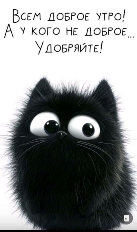 ВСЕМ ДОБРОЕ УТРО! А У КОГО НЕ ДОБРОЕ... УДОБРЯЙТЕ!