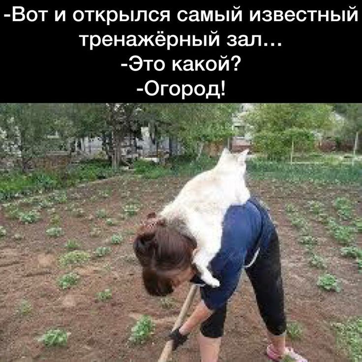 Вот и открылся самый известный тренажёрный зал... -Это какой? -Огород!