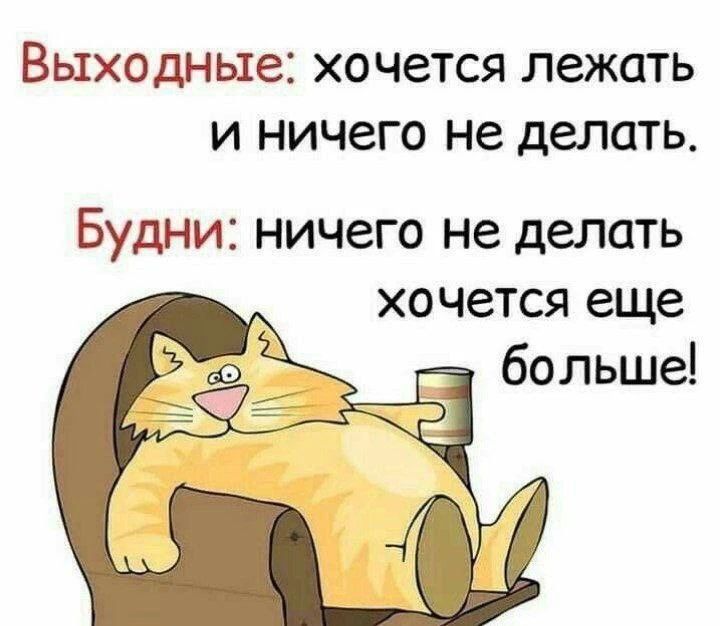 Выходные: хочется лежать и ничего не делать. Будни: ничего не делать хочется еще больше!
