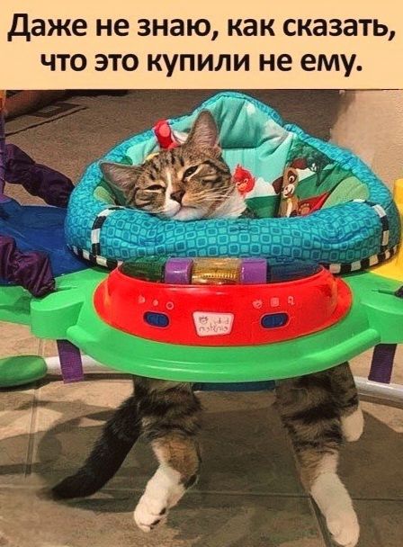 Даже не знаю, как сказать, что это купили не ему.