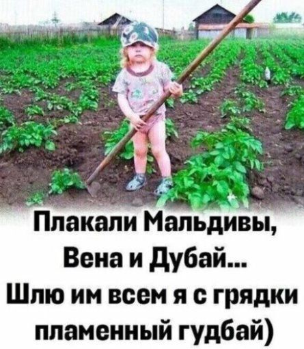 Плакали Мальдивы, Вена и Дубай... Шлю им всем я с грядки пламенный гудбай)