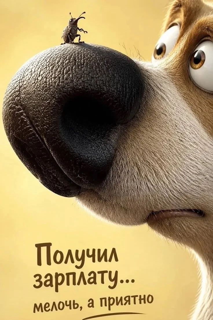 Получил зарплату... мелочь, а приятно
