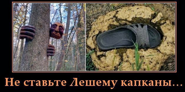 Не ставьте Лешему капканы...