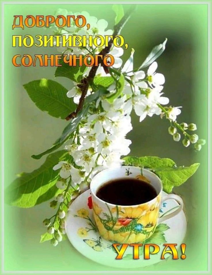 ДОБРОГО, ПОЗИТИВНОГО, СОЛНЕЧНОГО УТРА!