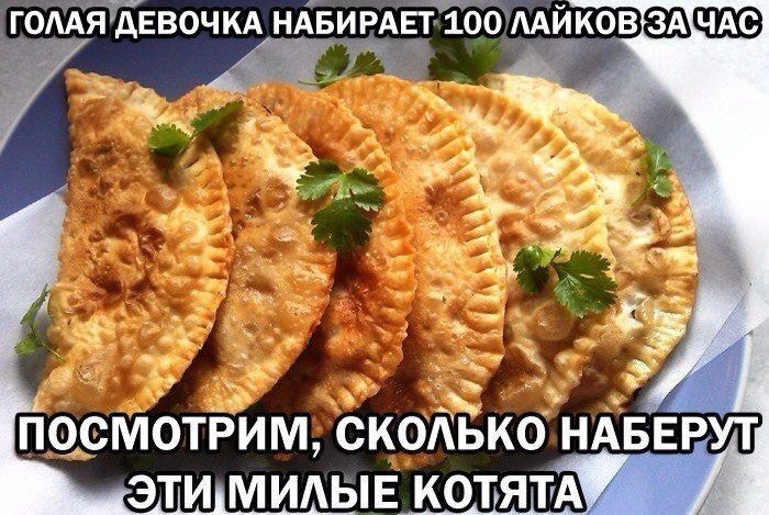 ГОЛАЯ ДЕВОЧКА НАБИРАЕТ 100 ЛАЙКОВ ЗА ЧАС ПОСМОТРИМ, СКОЛЬКО НАБЕРУТ ЭТИ МИЛЫЕ КОТЯТА