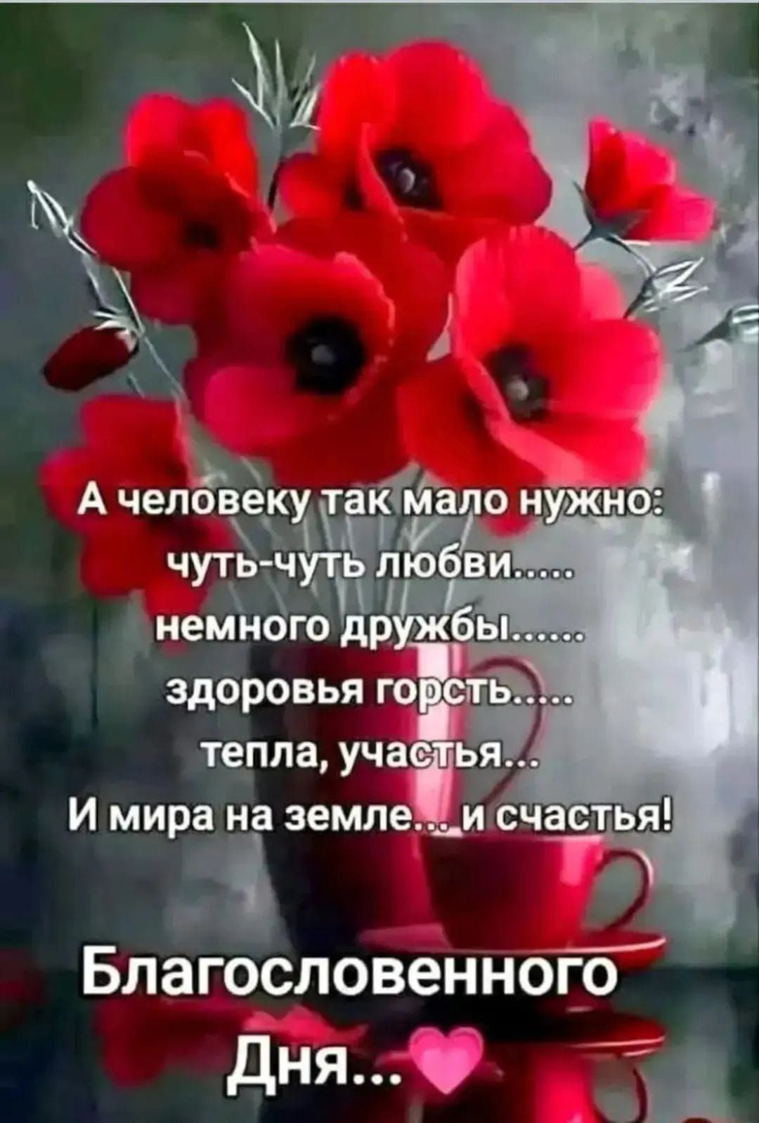 А человеку так мало нужно: чуть-чуть любви... немного дружбы... здоровья горсть... тепла, участья... И мира на земле... и счастья! Благословенного Дня...