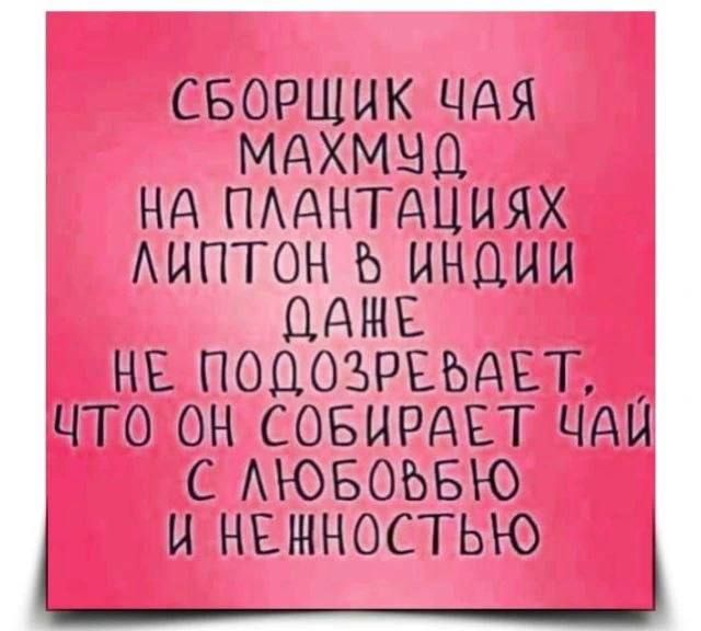 СБОРЩИК ЧАЯ МАХМУД НА ПЛАНТАЦИЯХ ЛИПТОН В ИНДИИ ДАЖЕ НЕ ПОДОЗРЕВАЕТ, ЧТО ОН СОБИРАЕТ ЧАЙ С ЛЮБОВЬЮ И НЕЖНОСТЬЮ