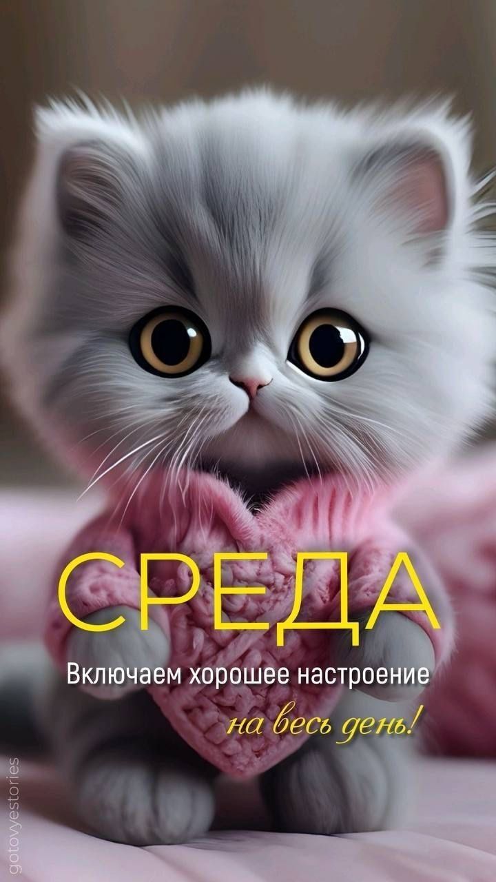 СРЕДА Включаем хорошее настроение на весь день!