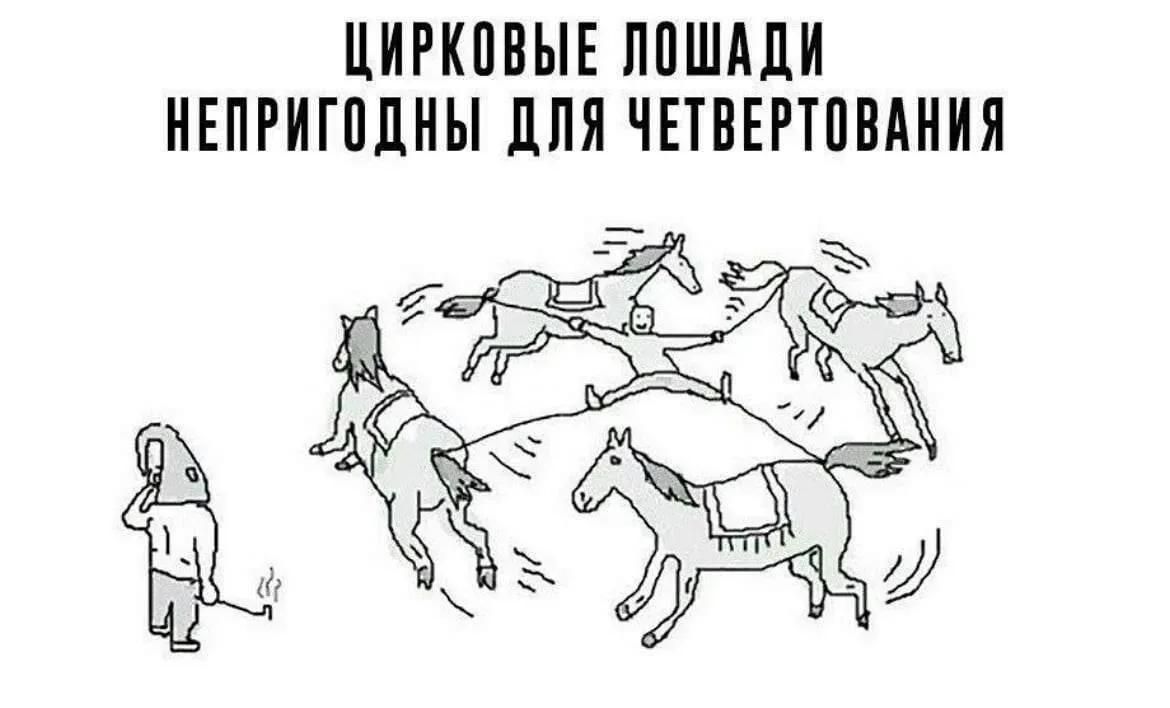 ЦИРКОВЫЕ ЛОШАДИ НЕПРИГОДНЫ ДЛЯ ЧЕТВЕРТОВАНИЯ