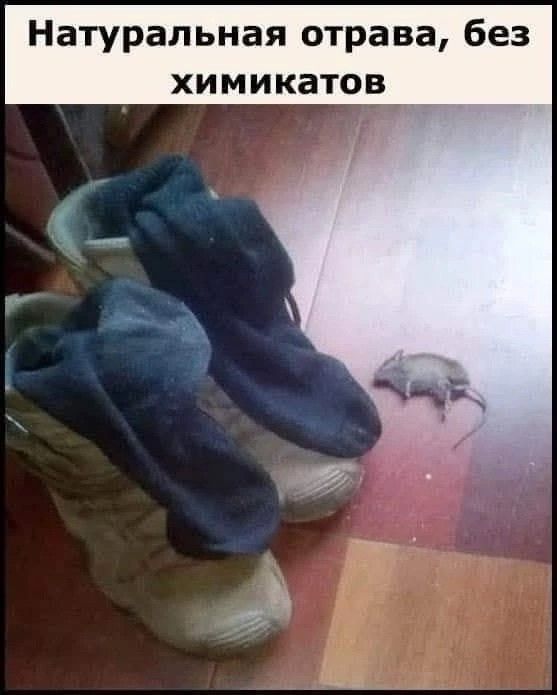 Натуральная отрава, без химикатов