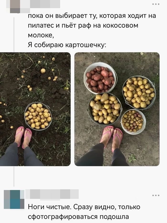 пока он выбирает ту, которая ходит на пилатес и пьёт раф на кокосовом молоке, Я собираю картошечку: Ноги чистые. Сразу видно, только сфотографироваться подошла