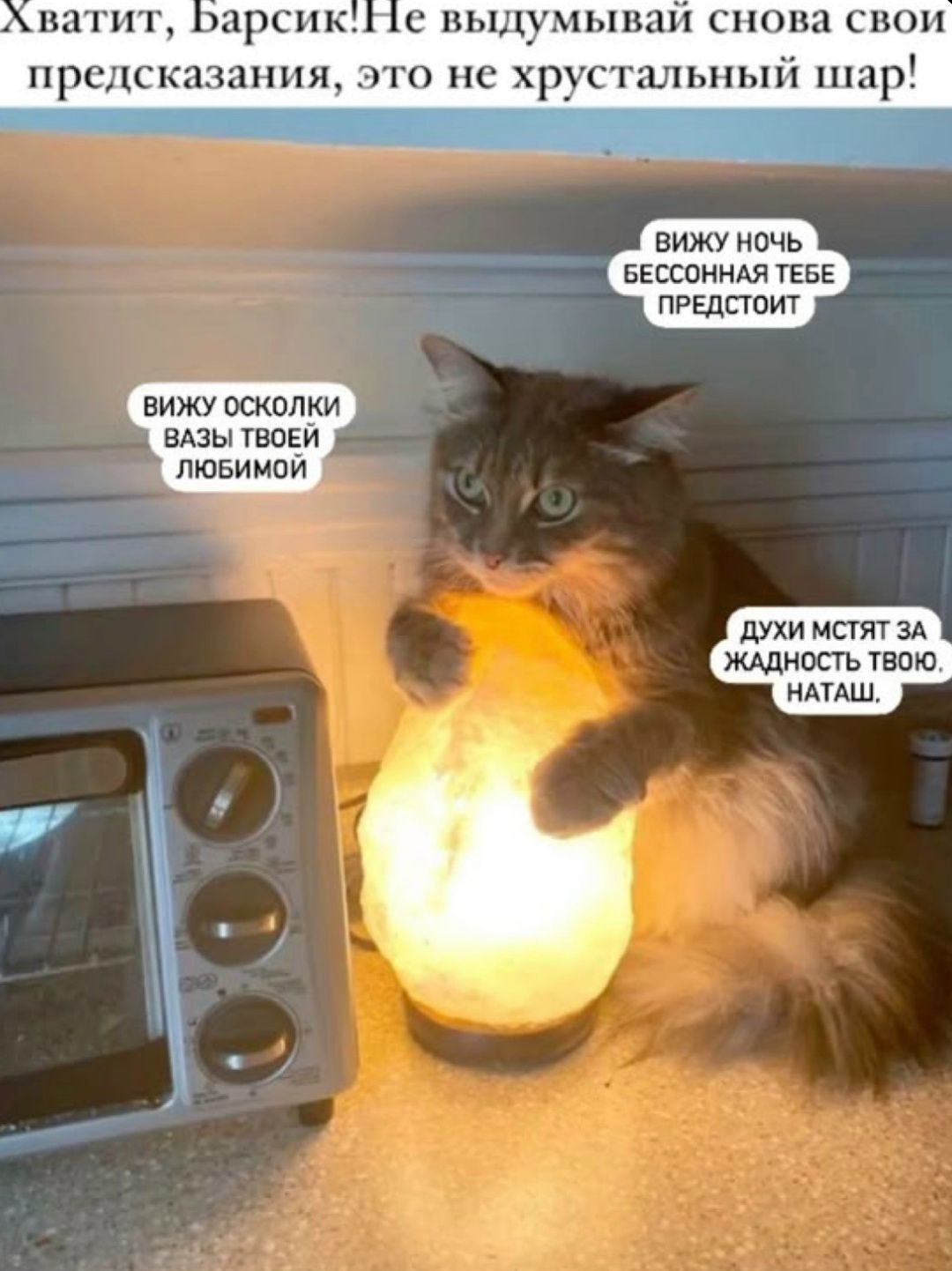 Хватит, Барсик! Не выдумывай снова свои предсказания, это не хрустальный шар! ВИЖУ НОЧЬ БЕССОННАЯ ТЕБЕ ПРЕДСТОИТ. ВИЖУ ОСКОЛКИ ВАЗЫ ТВОЕЙ ЛЮБИМОЙ. ДУХИ МСТЯТ ЗА ЖАДНОСТЬ ТВОЮ, НАТАШ.
