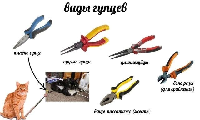 виды гупцев пласко гупце кругло гупци длинногубцы боко резы (для сравнения) ваще пассатиже (жесть)