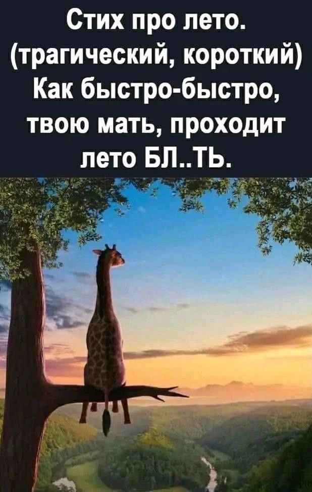 Стих про лето. (трагический, короткий) Как быстро-быстро, твою мать, проходит лето БЛ..ТЬ.