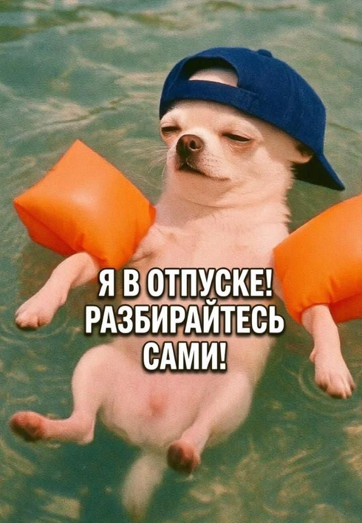 Я В ОТПУСКЕ! РАЗБИРАЙТЕСЬ САМИ!
