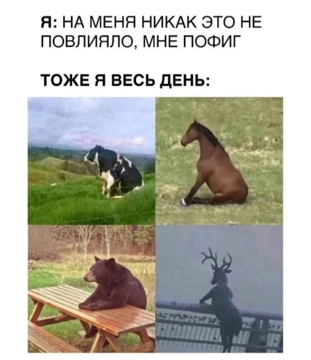 Я: НА МЕНЯ НИКАК ЭТО НЕ ПОВЛИЯЛО, МНЕ ПОФИГ ТОЖЕ Я ВЕСЬ ДЕНЬ: