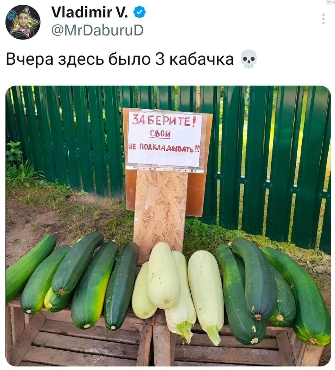 Vladimir V. @MrDaburuD Вчера здесь было 3 кабачка 💀 ЗАБЕРИТЕ! СВОИ НЕ ПОДКЛАДЫВАТЬ!!!