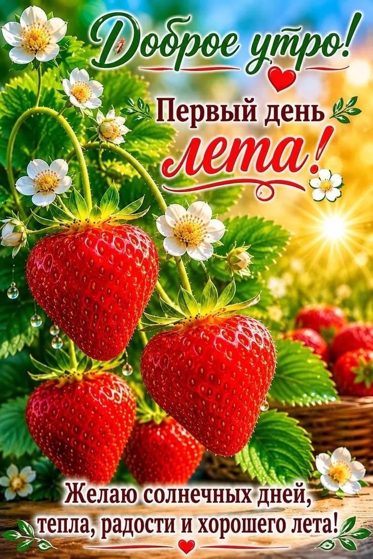 Доброе утро! Первый день лета! Желаю солнечных дней, тепла, радости и хорошего лета!