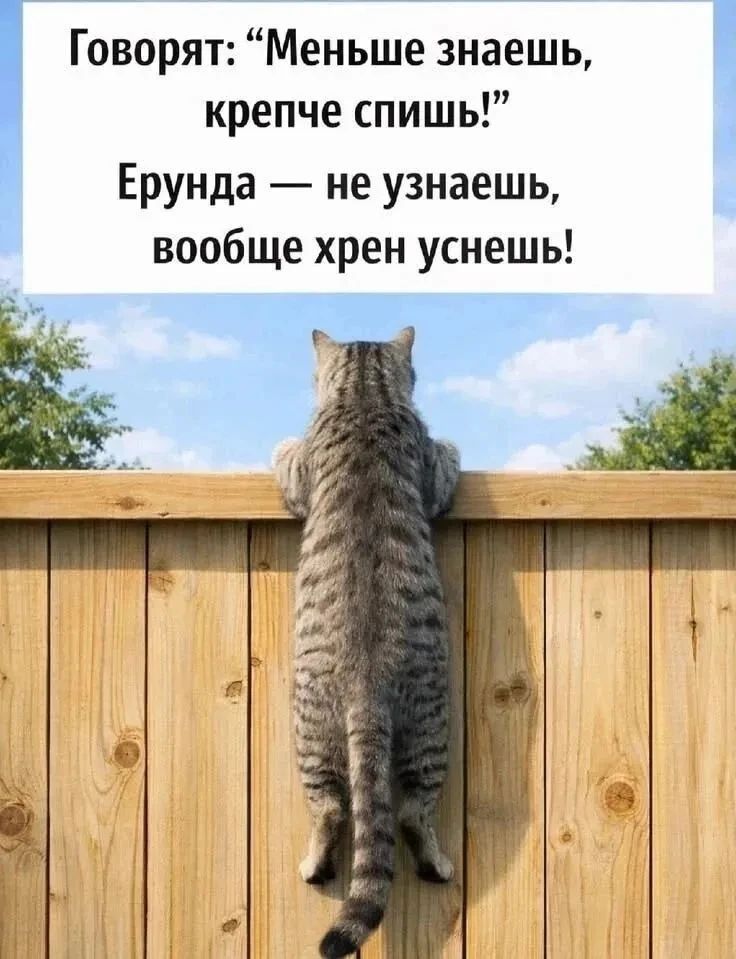 Говорят: 
