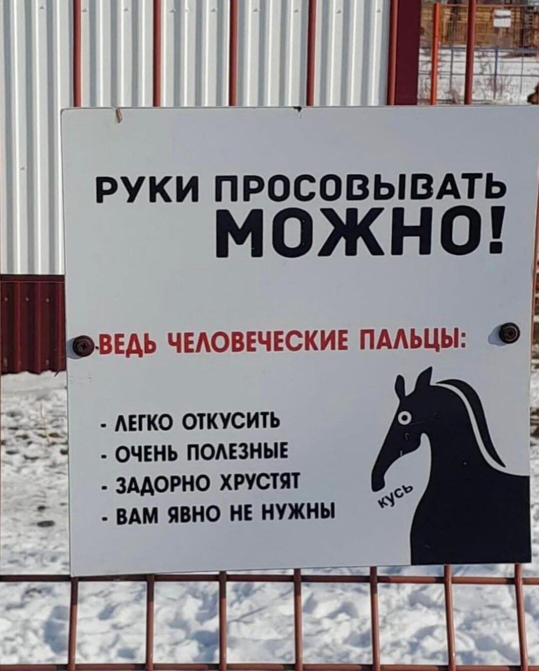 РУКИ ПРОСОВЫВАТЬ МОЖНО! ведь ЧЕЛОВЕЧЕСКИЕ ПАЛЬЦЫ: - ЛЕГКО ОТКУСИТЬ - ОЧЕНЬ ПОЛЕЗНЫЕ - ЗАДОРНО ХРУСТЯТ - ВАМ ЯВНО НЕ НУЖНЫ кусь
