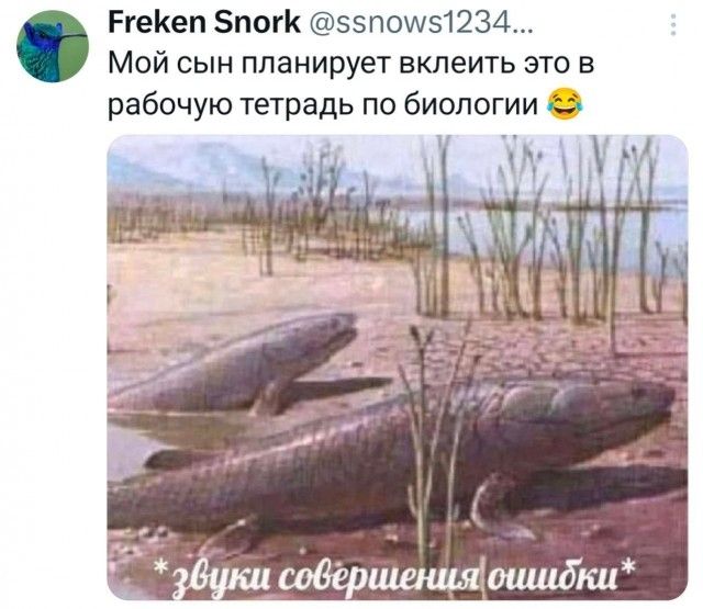 Freken Snork @ssnows1234... Мой сын планирует вклеить это в рабочую тетрадь по биологии 😂 *звуки совершения ошибки*