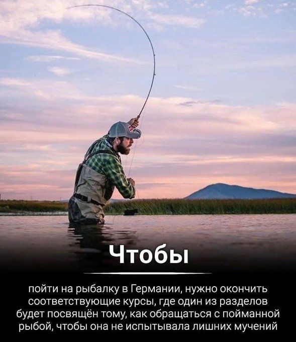 Чтобы пойти на рыбалку в Германии, нужно окончить соответствующие курсы, где один из разделов будет посвящён тому, как обращаться с пойманной рыбой, чтобы она не испытывала лишних мучений