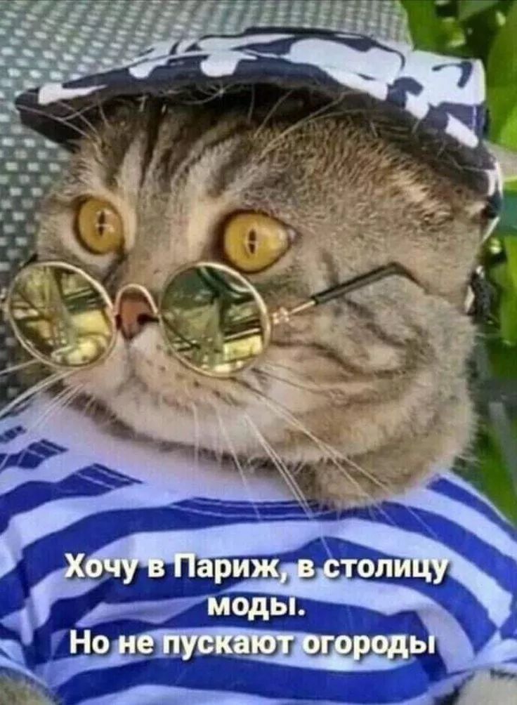 Хочу в Париж, в столицу моды. Но не пускают огороды