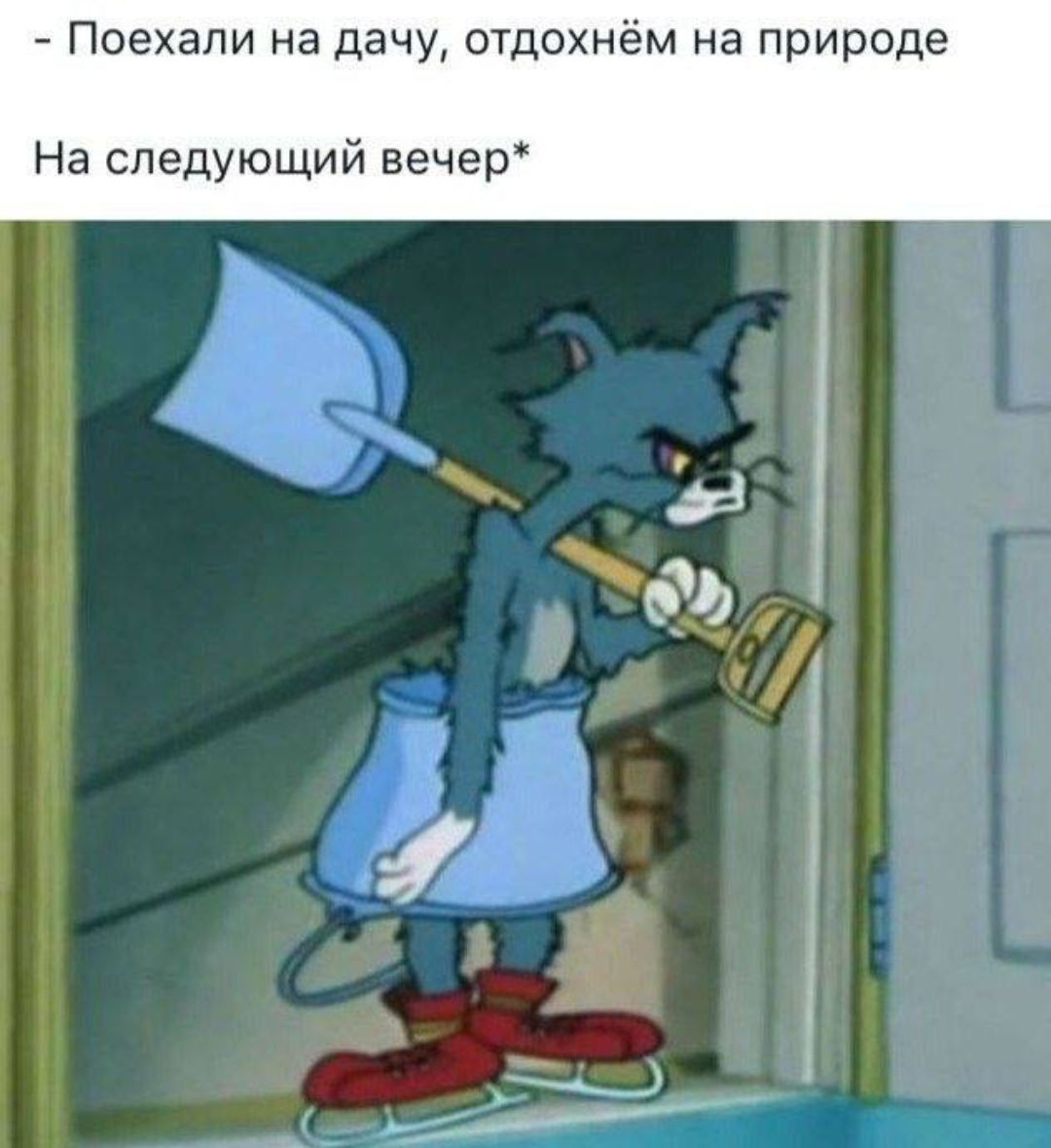 Поехали на дачу, отдохнём на природе. На следующий вечер*