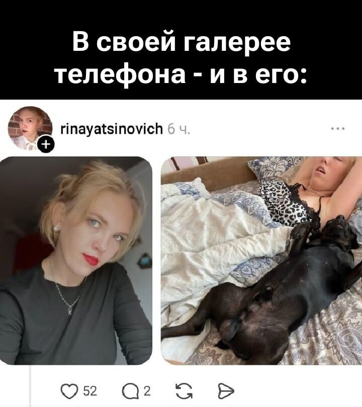 В своей галерее телефона - и в его: Женщина на селфи и та же женщина спящая в кровати с собакой.