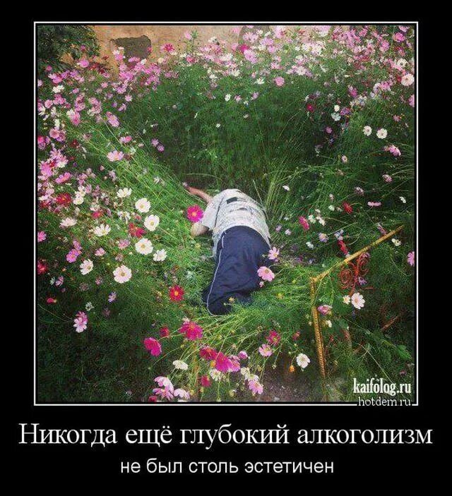 Никогда ещё глубокий алкоголизм не был столь эстетичен