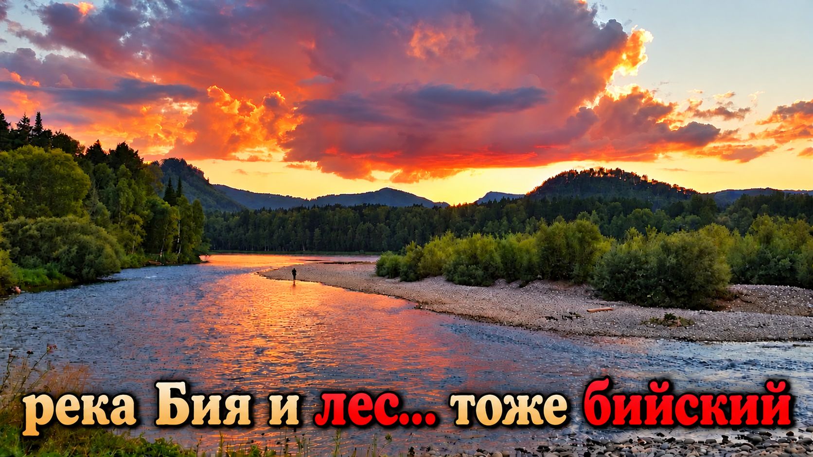 река Бия и лес... тоже бийский