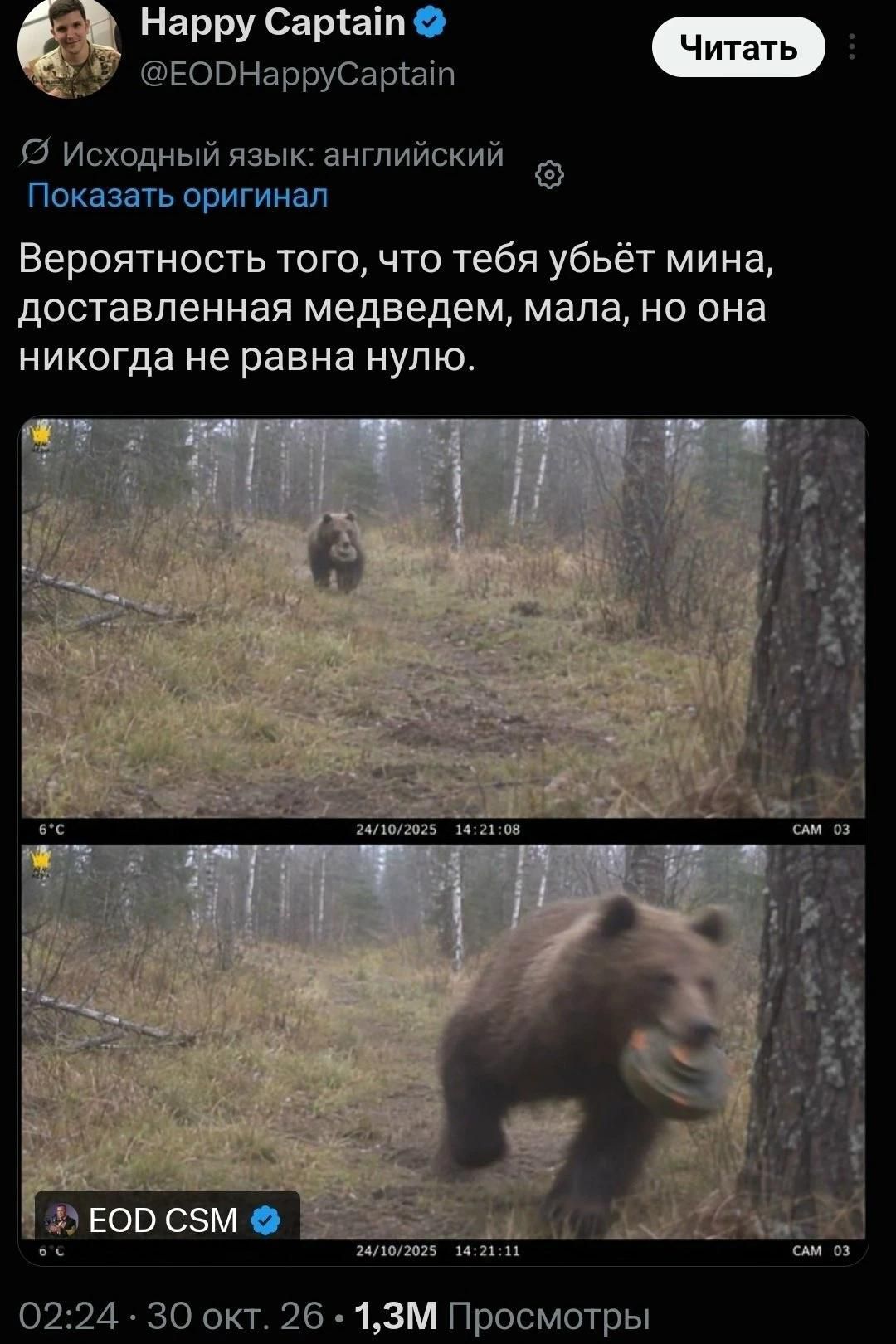 Happy Captain @EODHappyCaptain Исходный язык: английский Показать оригинал Вероятность того, что тебя убьёт мина, доставленная медведем, мала, но она никогда не равна нулю. 6°C 24/10/2025 14:21:08 CAM 03 EOD CSM 02:24 30 окт. 26 1,3М Просмотры