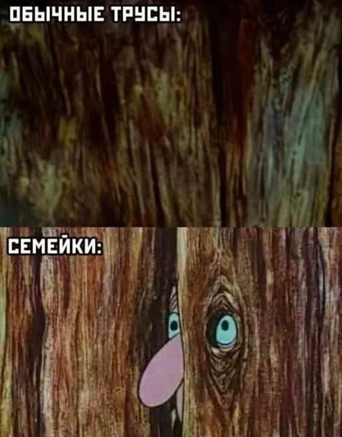 ОБЫЧНЫЕ ТРУСЫ: СЕМЕЙКИ: