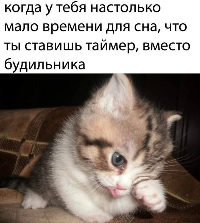 когда у тебя настолько мало времени для сна, что ты ставишь таймер, вместо будильника
