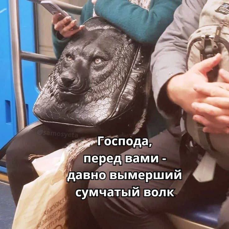 Господа, перед вами - давно вымерший сумчатый волк